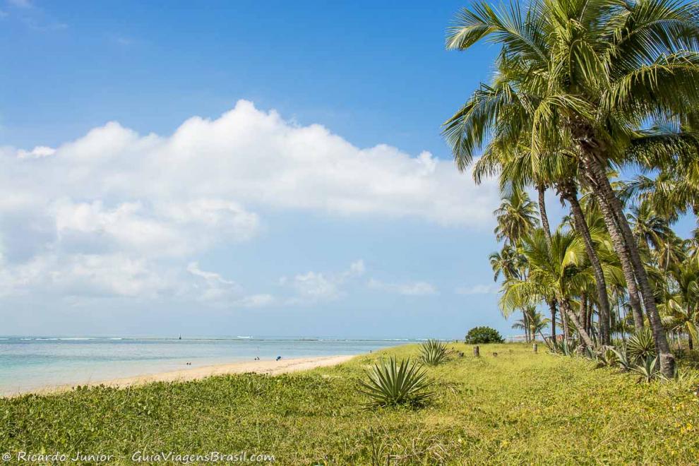 Imagem na chegada da lindíssima Ilha de Itaparica.